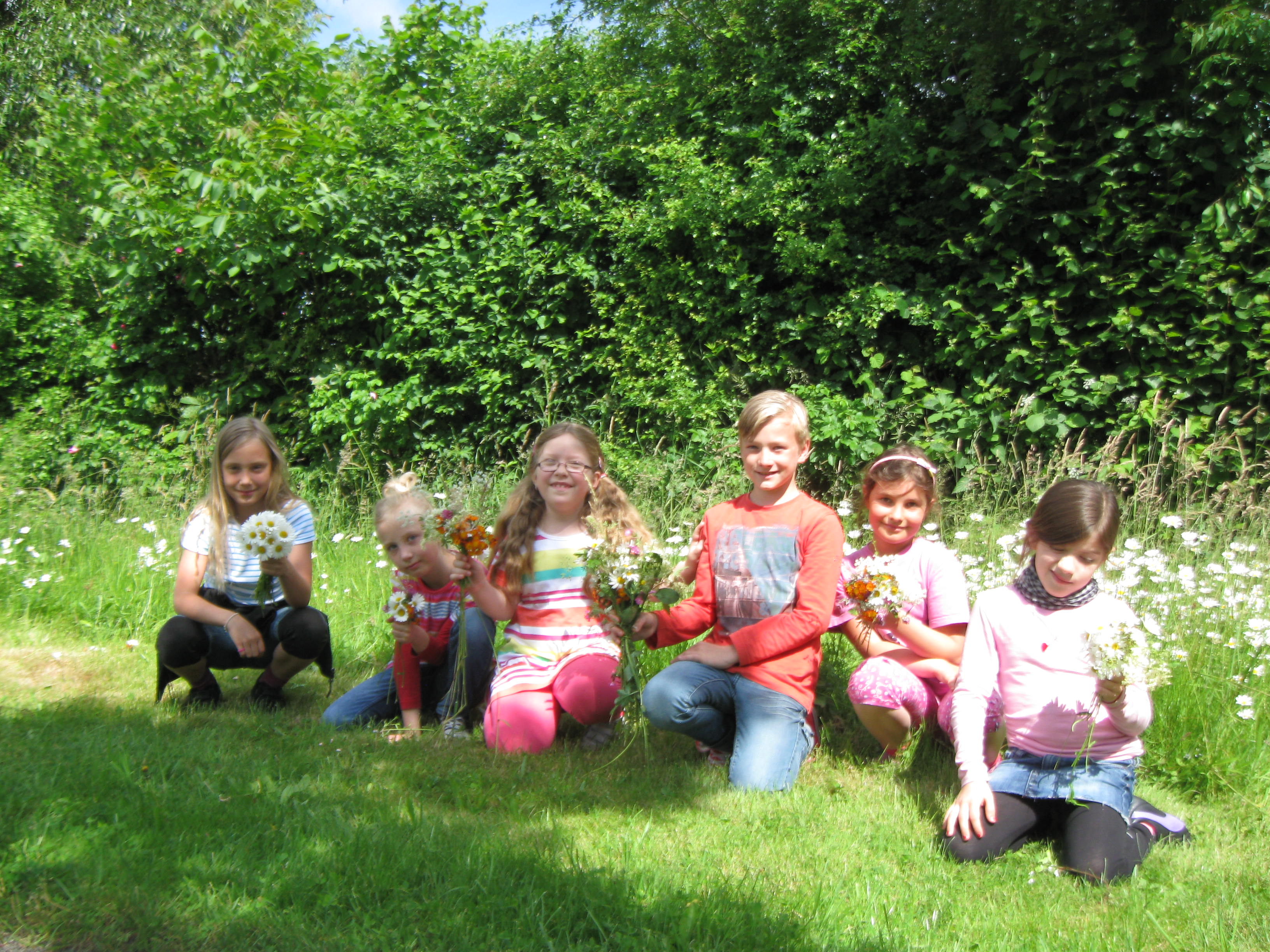 Projektwoche Juni 2013